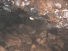 PICTURES/Lava River Cave/t_Entrance From Inside2.JPG